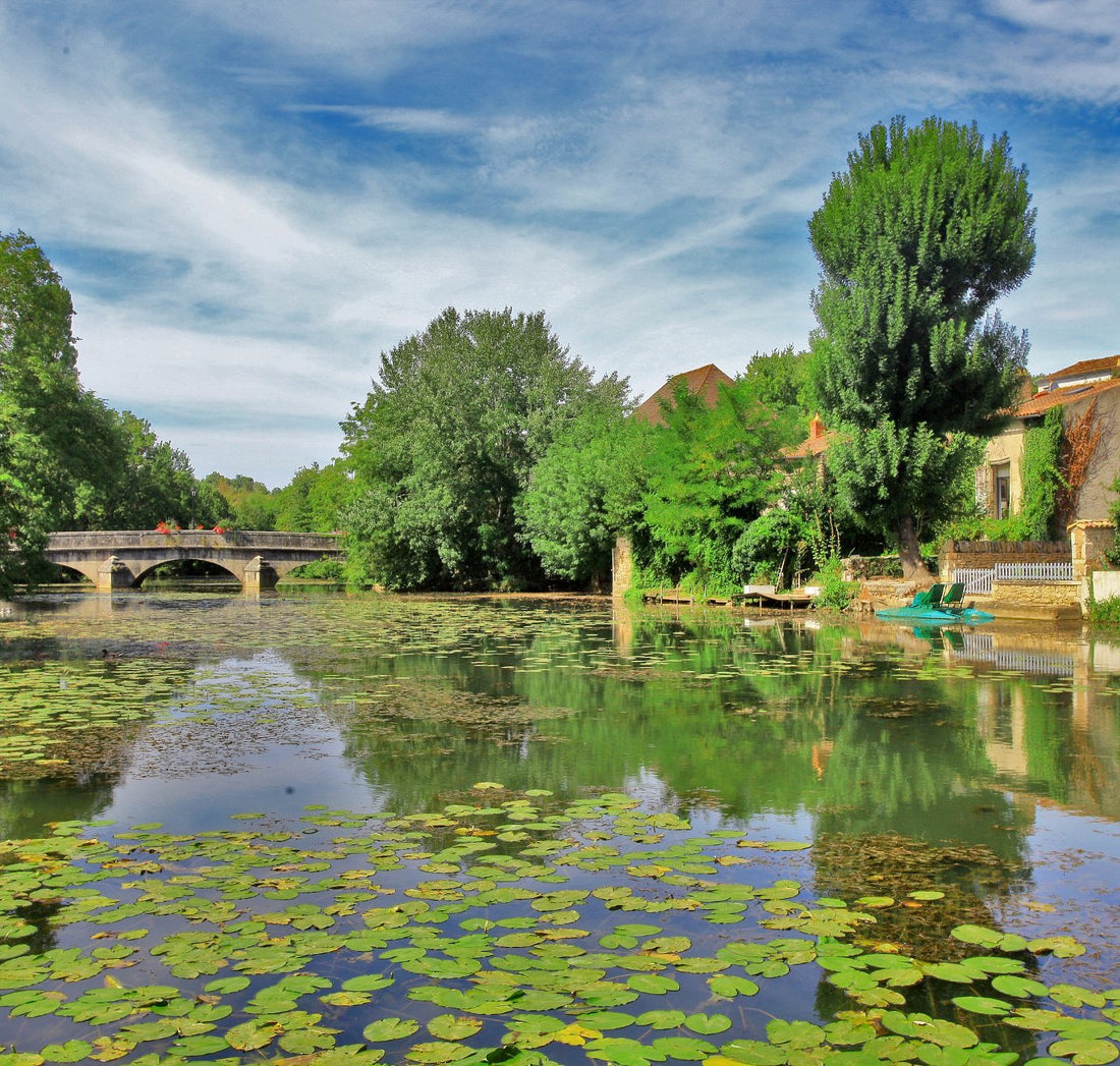 Vivonne (86370), un village stratégique à fort potentiel