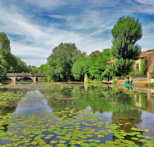 Vivonne (86370), un village stratégique à fort potentiel