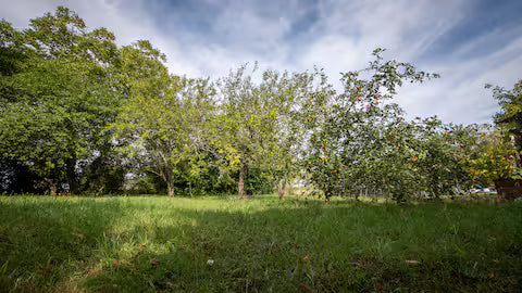 Le Petit Mona Céléna