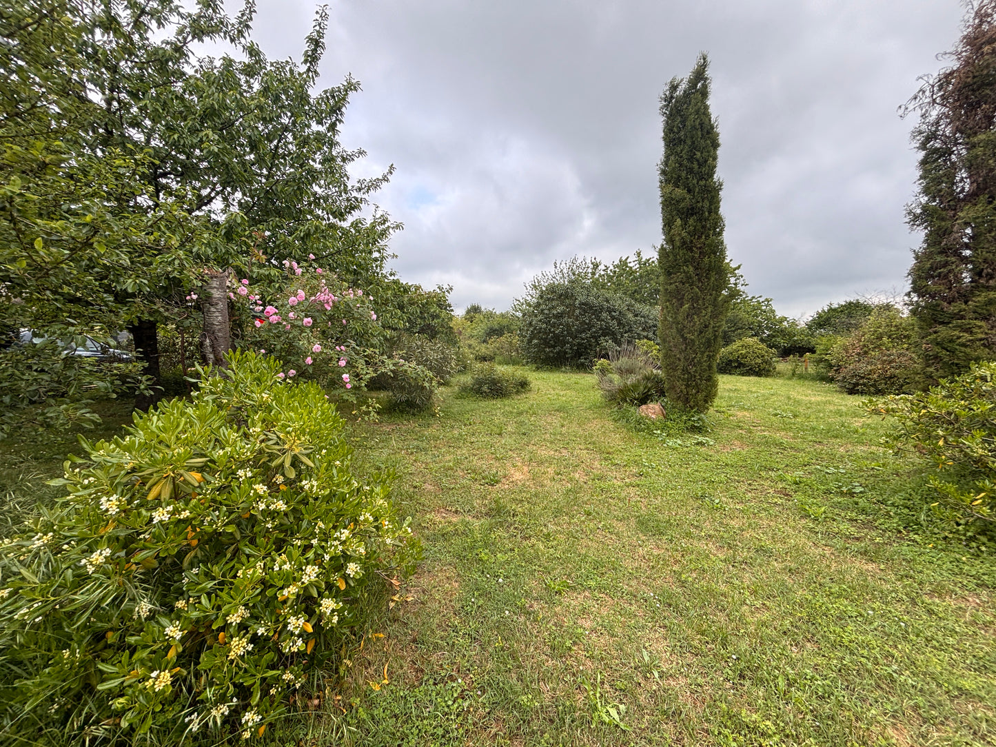 La Maison des Eléphants – Villa Cosy & Dépaysante à Vivonne